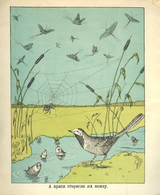 Бианки В. Однодневки / Рис. М. и С. Рахманиных. Л.; М.: Радуга, 1925.